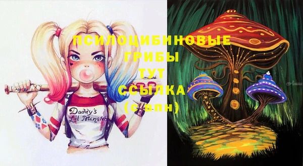 PSILOCYBIN Ступино