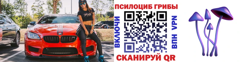 Галлюциногенные грибы Psilocybe  Купить закладки  Няндома 